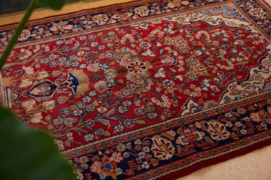 SUMAK_JAN_26306