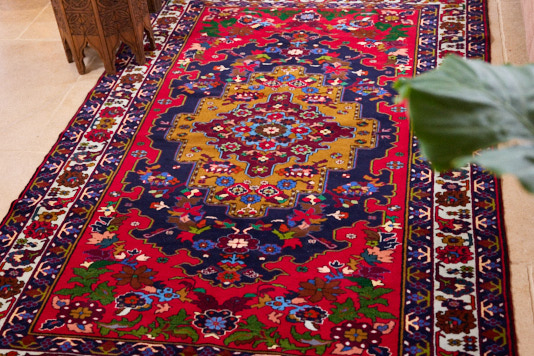SUMAK_JAN_2645