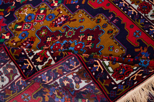SUMAK_JAN_2649