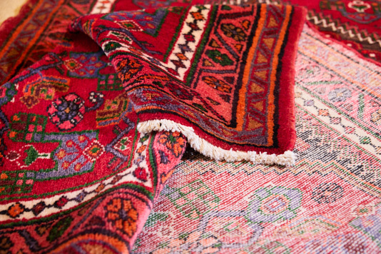 SUMAK_JAN_26516