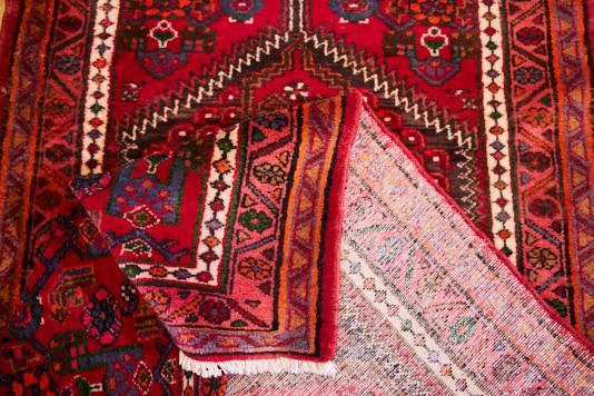 SUMAK_JAN_26518