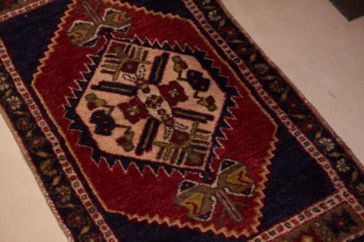 SUMAK_JAN_26491